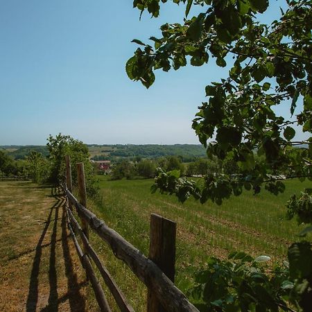 Widokowka Kaszuby Villa Mirachowo Bagian luar foto