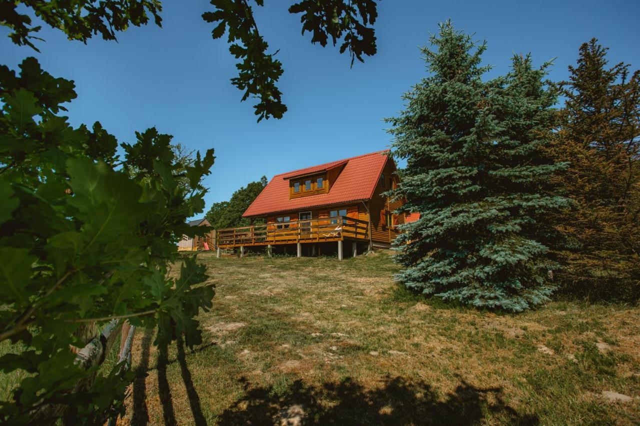 Widokowka Kaszuby Villa Mirachowo Bagian luar foto