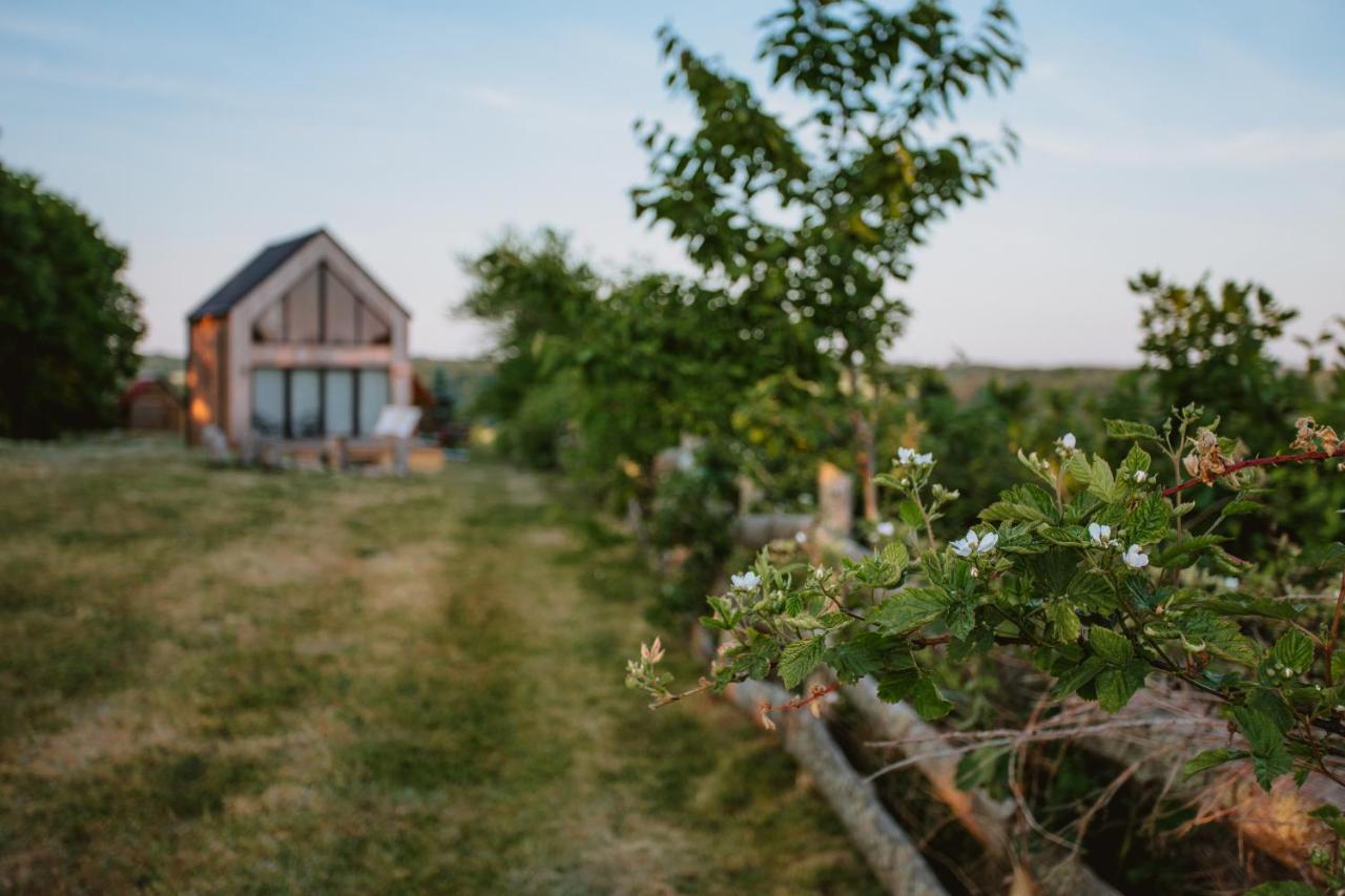 Widokowka Kaszuby Villa Mirachowo Bagian luar foto